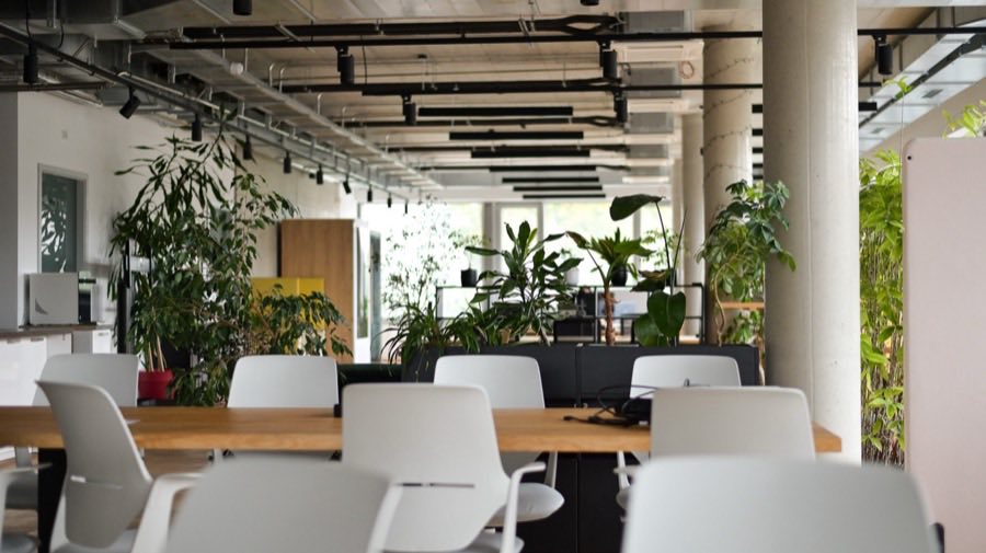 machwerk-flex-desk-arbeitsplatz-berlin